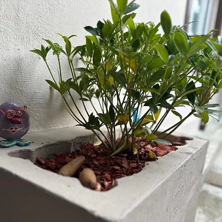 Appartement Sarajevska Mahala