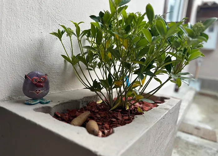 Lejlighed Sarajevska Mahala